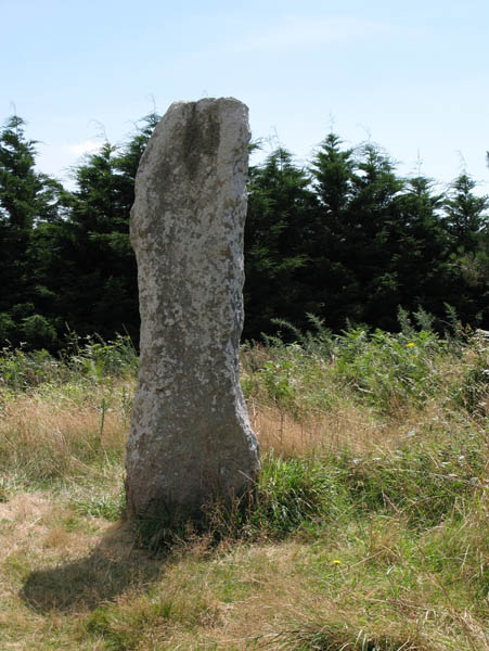 Tumulus du Moustoir Er Mane